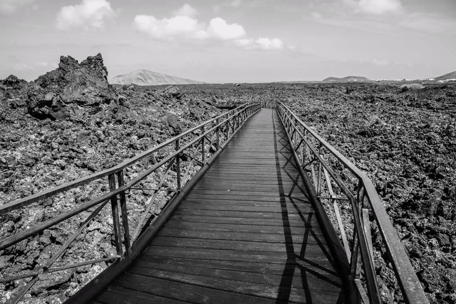 parque nacional de timanfaya fauna